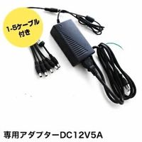 専用ACアダプター/12V5A CP12V5A 1台 ヤザワコーポレーション（直送品）