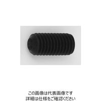 t@XjO J 3J[B | Zpt~߂˂iz[[ZbgjiC.C|Cgj 2 X 4 A000504M0020004004iij