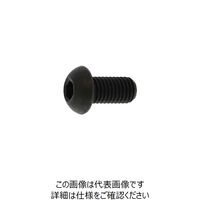 鋼 六角穴付きボタンボルト （ボタンキャップスクリュー）［角丸］（SSS規格） 5 X 30 A000100K0050030000（直送品）