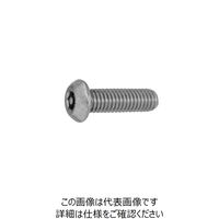 BK TRF/いたずら防止用ねじ ステンレス ピン・ボタン六角穴ねじ 10 X 25 7002006B0100025008（直送品）