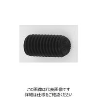 スズコバ 鋼 六角穴付き止めねじ（ホーローセット）（ギザスクリュー）［TKS］ 4 X 12 A000505T0040012020（直送品）