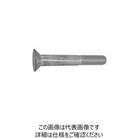 BC 鋼 六角穴付き皿ボルト （皿キャップスクリュー）（SSS規格） 10 X 15 A000200T0100015010（直送品）