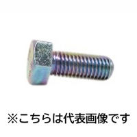 三笠・鋲螺 六角ボルト 鉄三価クロメート 全ねじ M20×100 1本 1100100040621（直送品）