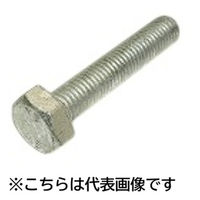 三笠・鋲螺 六角ボルト 鉄ドブメッキ 全ねじ M10×65 10本入 溶融亜鉛メッキ 1100100040832 1セット(10本入)（直送品）