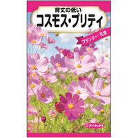 日本農産種苗 コスモス プリティ 4960599321589 1セット(5袋入)（直送品）