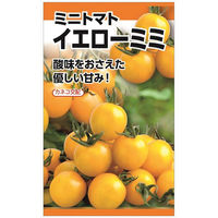 日本農産種苗 イエローミミ 4960599184801 1セット(3袋入)（直送品）