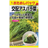 日本農産種苗 交配アスパラ菜（おためしパック） 4960599184603 1セット(5袋入)（直送品）