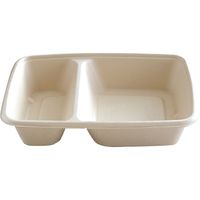 Sabert SBT 22.8×16.5cm؂pvgC 10307054 Pi75×4 v300jiij