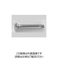 ファスニング J 3カーW 鉄（+）皿 小頭 タッピンねじ（2種溝付 B-1形） 4 X 16 210000060040016003（直送品）