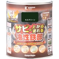 油性鉄部用S カンペハピオ