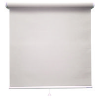 立川機工 FIRSTAGE(ファーステージ) ロールスクリーン 無地 TR-1006 1700×1600mm フロストグレー 1台（直送品）