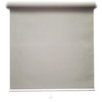 立川機工 FIRSTAGE(ファーステージ) ロールスクリーン 無地 TR-1010 1050×2400mm グレージュ 1台（直送品）