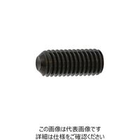 SUNCO 三価ホワイト HS（ナガイ くぼみ先 2.5×6 （1000本入） 243-1556（直送品）