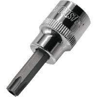 ワールドツール アストロプロダクツ AP3/8DRビットソケットいじり止めヘックスローブT40 2002000034779 1個（直送品）