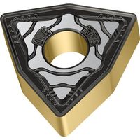 ワルタージャパン Walter 旋削加工用チップ 80°トリゴンネガタイプ WPP10G WNMG080408-RP5 1セット(10個)（直送品）