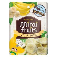 （9ヶ月頃から）ミライフルーツ バナナ 1袋 100％果実 フリーズドライ 乳児用規格適用商品