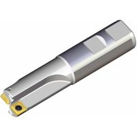 NTKカッティングツールズ TAEGUTEC チェイスクアッド TDM 225 W25-09 1本 459-4246（直送品）