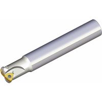 NTKカッティングツールズ TAEGUTEC チェイス4フィード TEBL 233-32-13-L250 1本 459-2716（直送品）