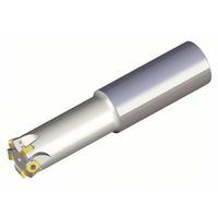 NTKカッティングツールズ TAEGUTEC チェイス4フィード TEBL 426-25-06-L250 1本 459-2736（直送品）