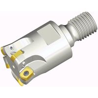 NTKカッティングツールズ TAEGUTEC チェイス4フィード TEBL 542-M16-06 1本 458-6414（直送品）