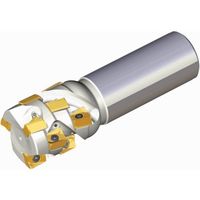 NTKカッティングツールズ TAEGUTEC チェイス2ミル TEF D40-40-W32-AN11-2F 1本 458-3193（直送品）