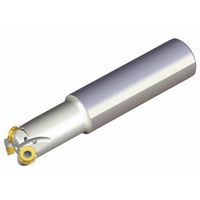 NTKカッティングツールズ TAEGUTEC チェイス2モールド TERNS 233-32-12-L250 1本 459-1118（直送品）