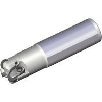 NTKカッティングツールズ TAEGUTEC チェイスモールド TERP 220-20-09FL-L80 1本 457-0552（直送品）