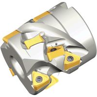 NTKカッティングツールズ TAEGUTEC ISOミーリング TES D80-60-32R-TN18 1本 458-4795（直送品）