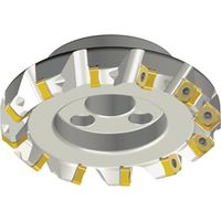 NTKカッティングツールズ TAEGUTEC チェイス2クアッド TFM45SNS 10160-50.8R-16 1本 458-7913（直送品）