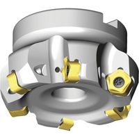 NTKカッティングツールズ TAEGUTEC チェイス10ミル TFM65PT 8100-32R-10 1本 458-9573（直送品）