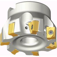 NTKカッティングツールズ TAEGUTEC ミーリングカッター チェイス2ミル TFM90AN 563-22R-11 1本（直送品）