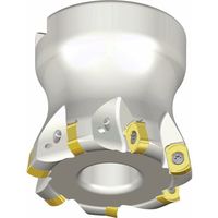 NTKカッティングツールズ TAEGUTEC チェイス4フィード TFMBL 752-22R-09 1本 457-5438（直送品）