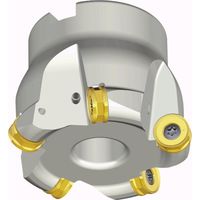 NTKカッティングツールズ TAEGUTEC チェイス2モールド TFMRNS 10200-60R-16 1本 458-1759（直送品）