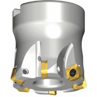 NTKカッティングツールズ TAEGUTEC チェイスフィード TFMSB 550-22R-09 1本 458-3298（直送品）