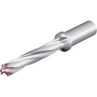 NTKカッティングツールズ TAEGUTEC 刃先交換式ドリルホルダー ドリルスフィード 3ED 190-199-25T0-5D 1本（直送品）