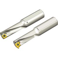 NTKカッティングツールズ TAEGUTEC 刃先交換式ドリルホルダー トップキャップ TCAP 12R-3.0DN-GV 1本（直送品）