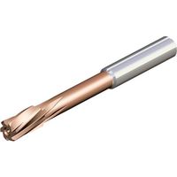 NTKカッティングツールズ TAEGUTEC 超硬ソリッドリーマ TSリーマ貫通穴用 TS-L1100-NS TT5040 1本（直送品）