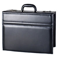 スワン ROBERT KLEIN (ロバートクライン) パイロットケース 8713 1個（直送品）