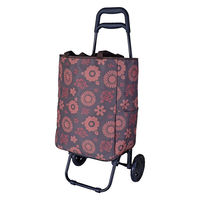 スワン SAXON cue 2way ショッピングキャリーバッグ 5246 茶/花 1個（直送品）
