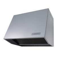 渡辺製作所 プロペラ換気扇タイプ WEPー603ASI 鋼板 本体色:シルバー 受注生産品 1個（直送品）