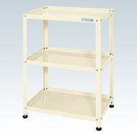 サカエ スペシャルワゴン固定式 SN-60843I 1台（直送品）