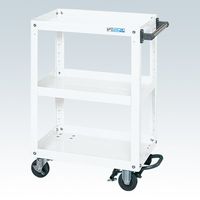 サカエ スーパーワゴン(プレート式キャスタータイプ) SAP-60883BRRW 1台（直送品）