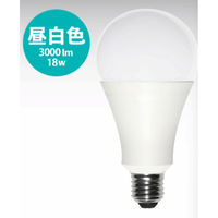 日本グローバル照明 LED電球3000lm E26 FAW20-N 1個（直送品）