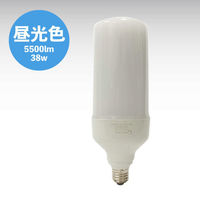 日本グローバル照明 大型LEDランプ全方向タイプE26 FTW40-DS E26 1個（直送品）