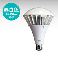 日本グローバル照明 防塵防水トンネル工事用作業灯 JPX65-N 1個（直送品）