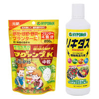 ハイポネックスジャパン ハイポネックス マグァンプK&リキダス 植え付け用セット 229819 1個（直送品）