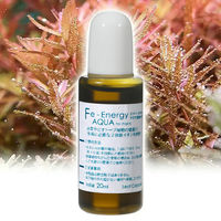 リーフ Leaf Corporation Fe Energy アクア 濃縮タイプ 20mL 57326 1個（直送品）