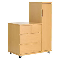 グローリープラン 福祉施設・病院向けロッカーチェスト RC-90/ライトブラウン 689604 1台（直送品）