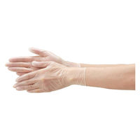 エブノ スタンダードPVCグローブ 100枚入/ケース/L 807007 1ケース(30箱)（直送品）