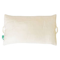 アイ・ソネックス ナーセントEx ピロー/-/L 448232 1個（直送品）